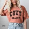 Cozy Season Fall Thanksgiving Tee Shirt