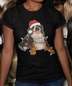 Bernersennen Hund Christmas Light T-Shirt