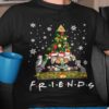 Harry Potter Friends Christmas Shirt