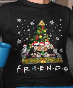 Harry Potter Friends Christmas Shirt