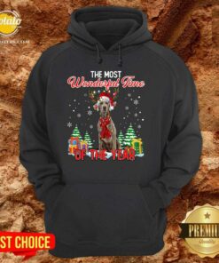 Awesome Weimaraner The Most Wonderful Time Of The Year Ugly Christmas Shirt 5