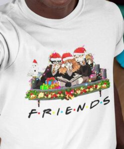 Harry Potter Friends Christmas T-shirt