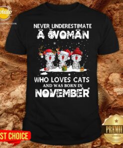 Hot Never Underestimate A Woman Who Loves Cats And Was Born In November Christmas Shirt Hot Never Underestimate A Woman Who Loves Cats And Was Born In November Christmas Shirt
