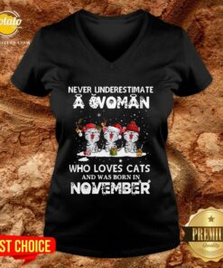 Hot Never Underestimate A Woman Who Loves Cats And Was Born In November Christmas Shirt Hot Never Underestimate A Woman Who Loves Cats And Was Born In November Christmas Shirt