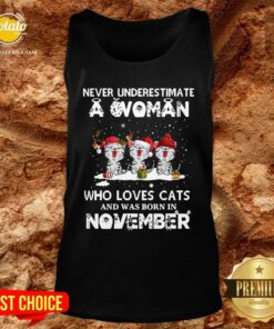 Hot Never Underestimate A Woman Who Loves Cats And Was Born In November Christmas Shirt 3