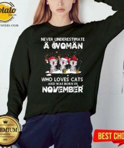 Hot Never Underestimate A Woman Who Loves Cats And Was Born In November Christmas Shirt 4