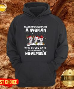 Hot Never Underestimate A Woman Who Loves Cats And Was Born In November Christmas Shirt 5