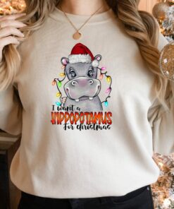 I Want A Hippopotamus For Christmas Sweatshirt Lovely Unique Xmas Gift