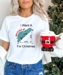 I Want A Hippotenus For Christmas Funny Geometry Sweatshirt Humor Unique Xmas Gift