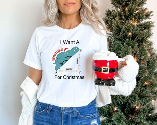 I Want A Hippotenus For Christmas Funny Geometry Sweatshirt Humor Unique Xmas Gift