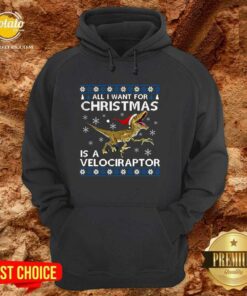 Top All I Want For Christmas Is A Velociraptor Dinosaur Shirt Top All I Want For Christmas Is A Velociraptor Dinosaur Shirt