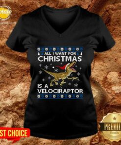 Top All I Want For Christmas Is A Velociraptor Dinosaur Shirt 3