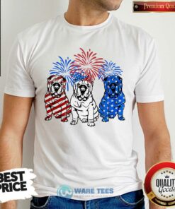 American Flag Pitbull 4th Of July Shirt