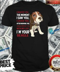 Awesome Beagle Wanted I Wanted You The Moment I Saw You I Loved You After Knowing You Shirt