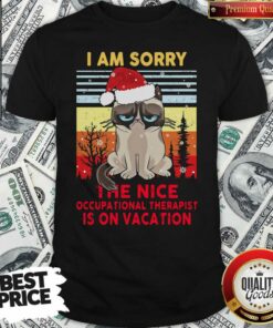 Cute I Am Sorry The Nice Occupational Therapist Is On Vacation Shirt – Waretees