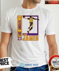Funny Los Angeles Lakers Lebron James 23 Shirt
