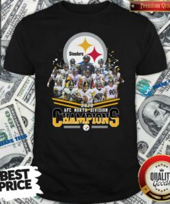 Funny Pittsburgh Steelers 2020 Afc North Division Champions Signatures Tee Shirt