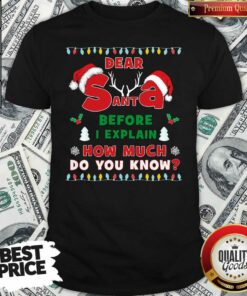 Good Dear Santa Before I Explain How Much Do You Know Christmas Shirt – Waretees
