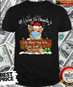Good Pomeranian Dog Face Mask Call I Want For Christmas Is To Show My Turo Front Teeth Merry Christmas Shirt