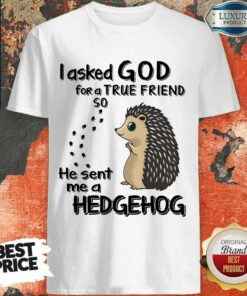 I Asked God A True Friend He Sent A Hedgehog Shirt