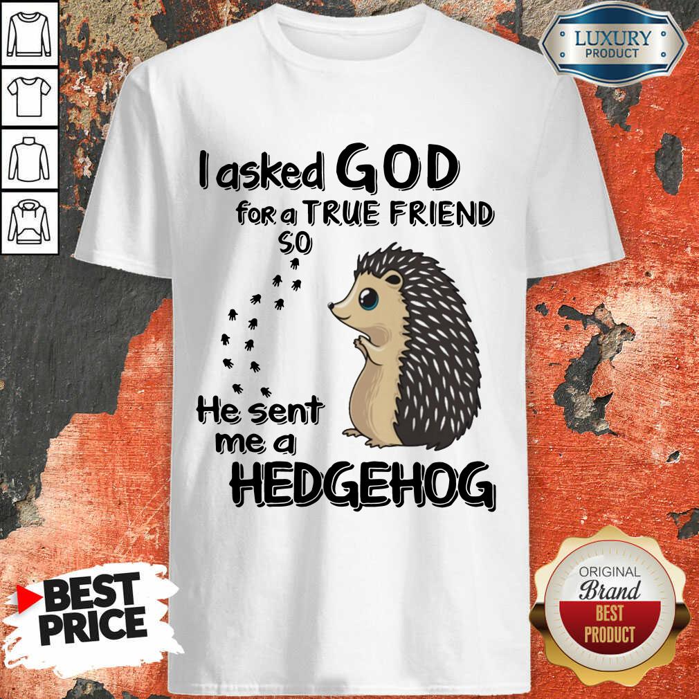 I Asked God A True Friend He Sent A Hedgehog Shirt I Asked God A True Friend He Sent A Hedgehog Shirt