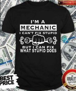 I’m A Mechanic I Can’t Fix Stupid Shirt