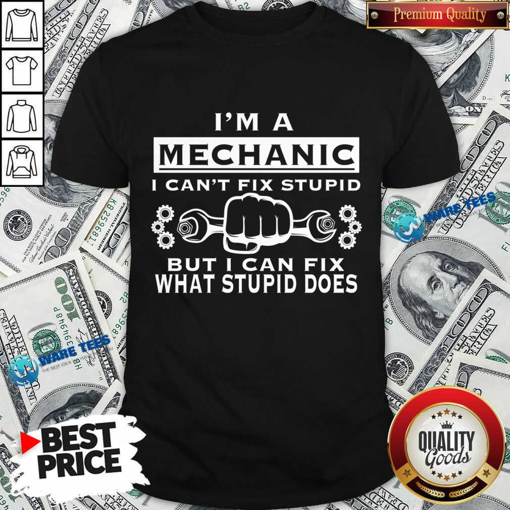 I'm A Mechanic I Can't Fix Stupid Shirt I'm A Mechanic I Can't Fix Stupid Shirt