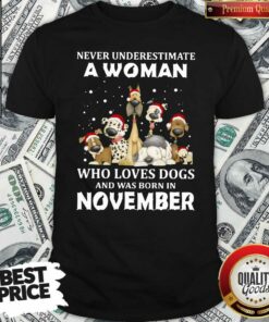 Never Underestimate Loves Dogs Was Born November Dogs Shirt