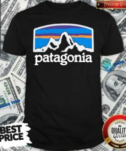Nice Fitz Roy Horizons Responsibili Patagonia Shirt