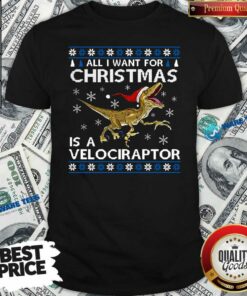 Original All I Want For Christmas Is A Velociraptor Dinosaur Shirt