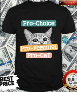 Pro Choice Pro Feminism Pro Cats Shirt