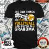 The Only Thing I Love More Than Beach Volleyball Is Being A Grandma Shirt
