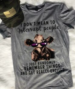 I Don’t Mean To Interrupt People I Just Randomly Shirt I Don’t Mean To Interrupt People I Just Randomly Shirt