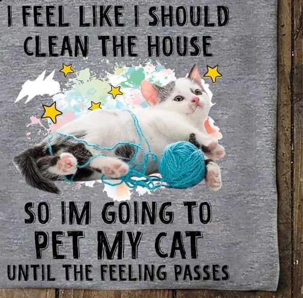 I Feel Like I Should Clean The House So I'm Going To Pet My Cat Until The Feeling Passes Cat And Wool Roll Shirt I Feel Like I Should Clean The House So I'm Going To Pet My Cat Until The Feeling Passes Cat And Wool Roll Shirt