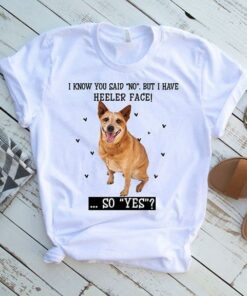 I Know You Said No But I Have Heeler Face Shirt I Know You Said No But I Have Heeler Face Shirt