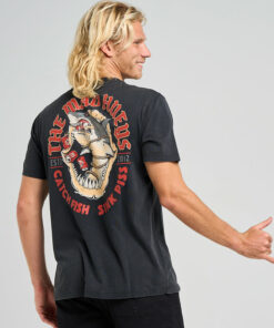 SHARK TINS 4 SHARK TINS 5