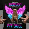 I Know Heaven Is A Beautiful Place Because They Have My Pit Bull Dog With Angel Wings Shirt