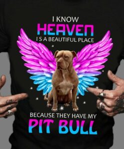I Know Heaven Is A Beautiful Place Because They Have My Pit Bull Dog With Angel Wings Shirt I Know Heaven Is A Beautiful Place Because They Have My Pit Bull Dog With Angel Wings Shirt