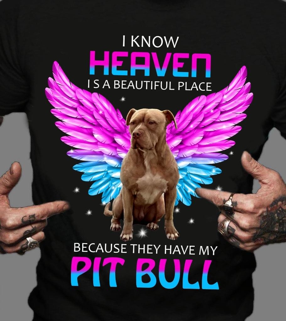 I Know Heaven Is A Beautiful Place Because They Have My Pit Bull Dog With Angel Wings Shirt I Know Heaven Is A Beautiful Place Because They Have My Pit Bull Dog With Angel Wings Shirt