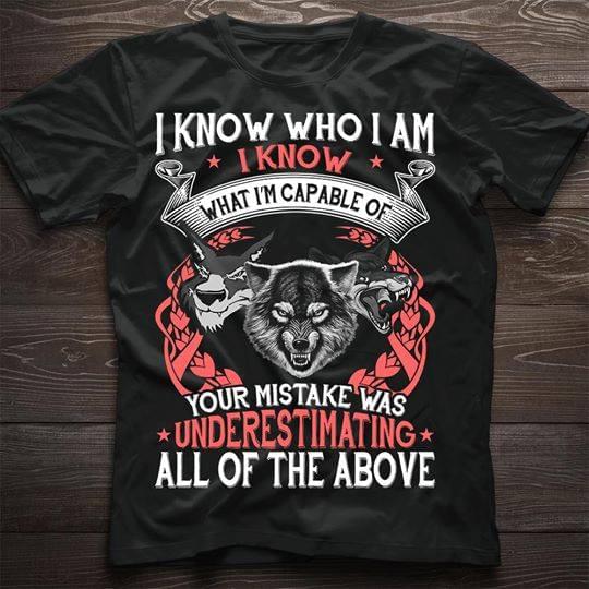 I Know Who I Am I Know What I'm Capable Shirt I Know Who I Am I Know What I'm Capable Shirt