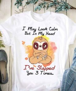 I May Look Calm But In My Head I’ve Slapped You 3 Times Cartoon Sloth Shirt