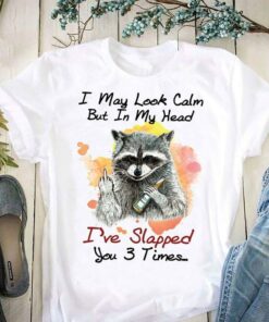 I May Look Calm But In My Head I’ve Slapped You 3 Times Pole Cat Drinking Shirt