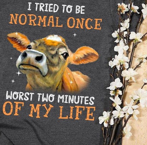 I Tried To Be Normal Once Worst Two Minutes Of My Life Young Cow Glitters Shirt I Tried To Be Normal Once Worst Two Minutes Of My Life Young Cow Glitters Shirt