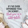 If I’ve Ever Offended You I’m Sorry That You’re A Little Bitch Shirt