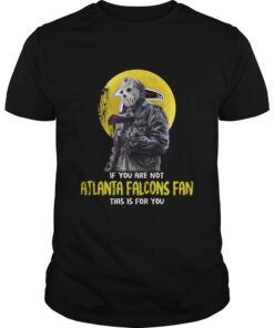 If You Are Not Atlanta Falcons Fan This Is For You Shirt