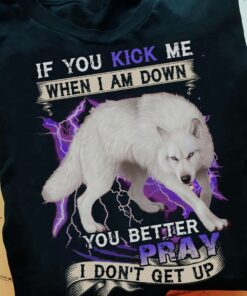 If You Kick Me When I Am Down, You Better Pray I Don’t Get Up Shirt If You Kick Me When I Am Down, You Better Pray I Don’t Get Up Shirt