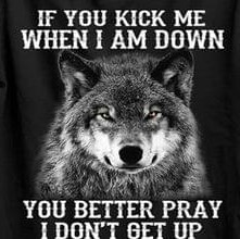 If You Kick Me When I Am Down You Better Pray I Don't Get Up Wolf Shirt If You Kick Me When I Am Down You Better Pray I Don't Get Up Wolf Shirt