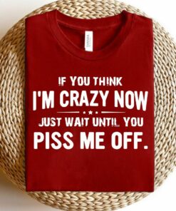 If You Think I Am Crazy Now Piss Me Off Shirt If You Think I Am Crazy Now Piss Me Off Shirt
