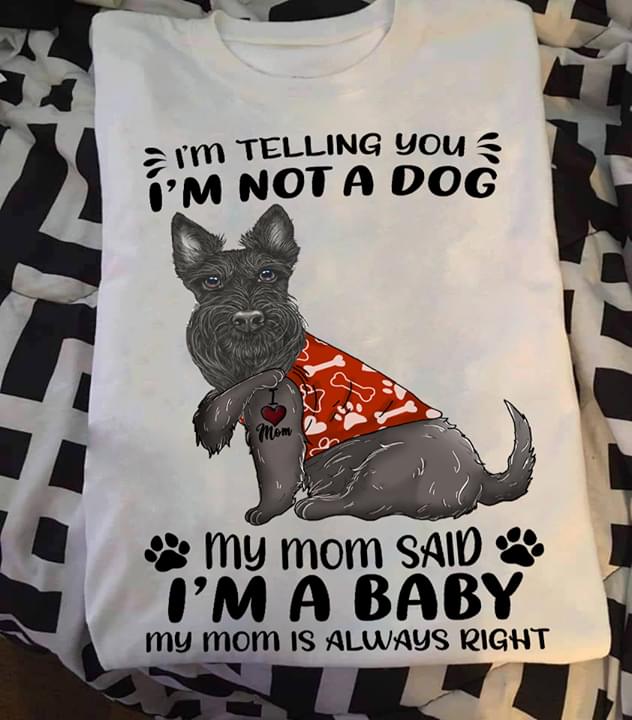 I'm Not A Dog I'm A Baby Lowchen Dog Mother's Day Gifts For Puppy Owners And Dog Lovers Shirt I'm Not A Dog I'm A Baby Lowchen Dog Mother's Day Gifts For Puppy Owners And Dog Lovers Shirt