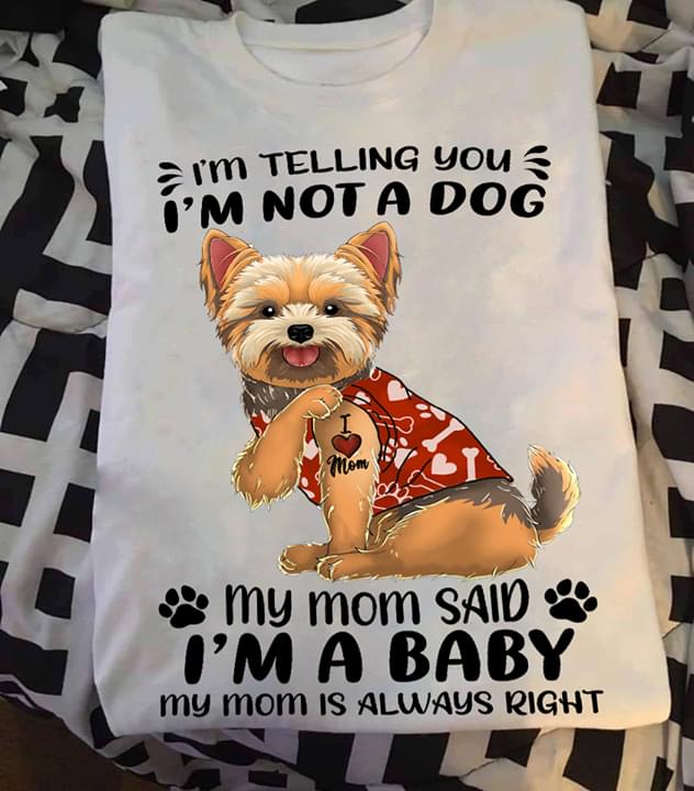 I'm Not A Dog I'm A Baby Yorkie Dog Mother's Day Gifts For Puppy Owners And Dog Lovers Shirt I'm Not A Dog I'm A Baby Yorkie Dog Mother's Day Gifts For Puppy Owners And Dog Lovers Shirt
